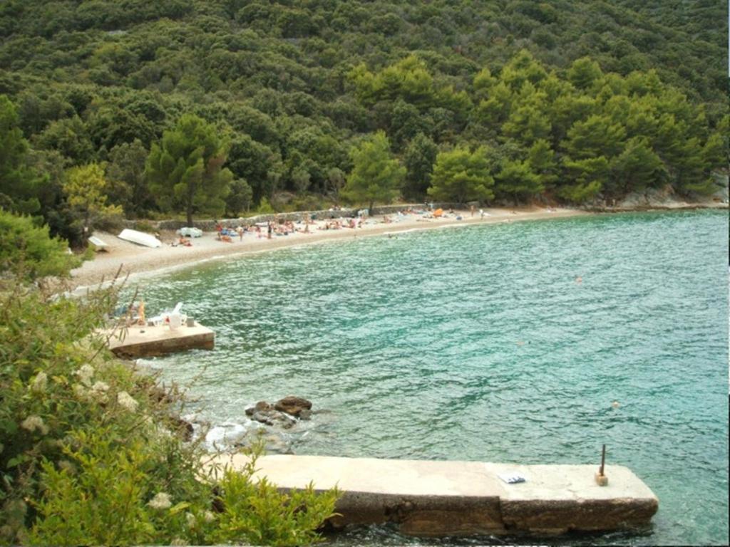 Apartments And Rooms Roberto B. Valun Εξωτερικό φωτογραφία